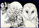 Wisdom Owls ~ Pueo  
Pen & Ink 5” x 6”
