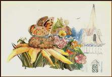 Garden of Life
Watercolor  14” x 17”
