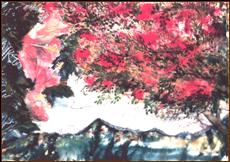 Red Tree Blossoms
Watercolor 22 1/2” x 30”
